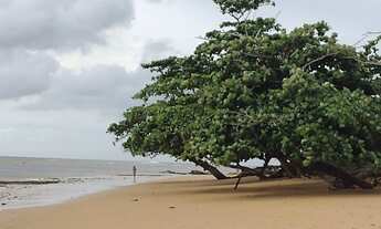 Imagem 7: CASA DISPONÍVEL PARA TEMPORADA EM MAR, LITORAL DE ARACRUZ