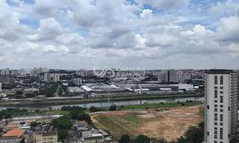 Imagem 7: ótima oportunidade, 2 dormitórios na Rua Canes