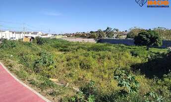 Imagem: Terreno para Venda, no Papagaio, Feira de