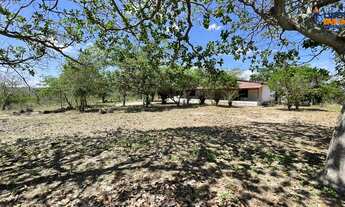 Imagem: Chácara residencial para Venda no Tomba