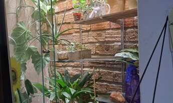 Imagem 5: Casa residencial para Venda em rua Pública no Papagaio, Feira de Santana, 2 quartos, 1 sal