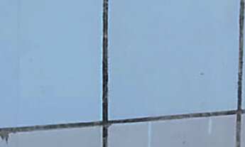 Imagem 7: Casa residencial para Locação em Rua Publica, Engenho Velho de Brotas, Salvador, 1 quarto