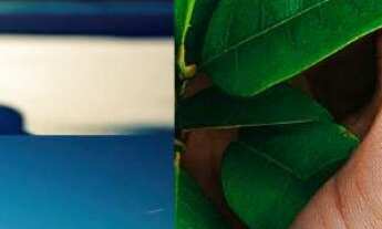 Imagem 6: Apartamento residencial para venda em condomínio fechado, SIM, Feira de Santana, 2 dormitó