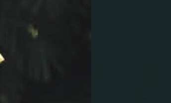 Imagem 3: Lançamento Casa residencial para Venda no Condomínio Bless Houses, Sim, Feira de Santana