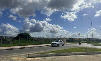 Imagem 2: Terreno para Venda, no Papagaio, Feira de Santana, Pavimentado, 5.548m² área total