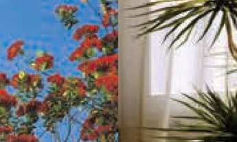 Imagem: Apartamento residencial para Venda em condomínio