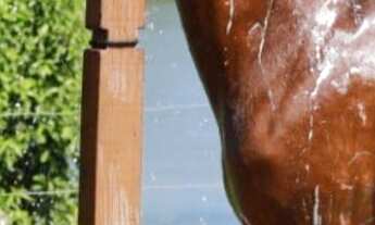 Imagem 4: Terreno residencial para Venda na Fazenda Real Residence Bahia, Centro, Simões Filho, 525m