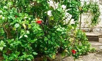 Imagem 6: Casa residencial para Venda em rua pública, Centro, Itaberaba, 3 quartos, 1 sala, 2 banhei