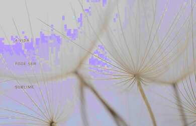 Imagem 3: Lançamento de Apartamento residencial para Venda no Sublime Horto House, Horto Florestal