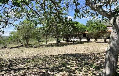 Imagem 2: Chácara residencial para Venda no Tomba, Feira de Santana, 4 quartos, 1 sala, 2 banheiros