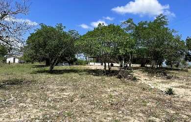 Imagem 4: Chácara residencial para Venda no Tomba, Feira de Santana, 4 quartos, 1 sala, 2 banheiros