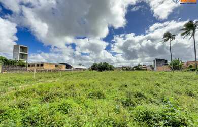 Imagem 7: Terreno comercial/residencial para Venda, São Benedito, Santo Antônio de Jesus 8.712m² áre