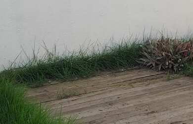 Imagem 5: Casa residencial para Venda em rua Pública no bairro sto Antônio dos prazeres, Feira de Sa