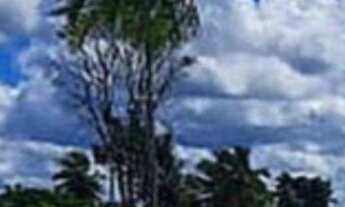 Imagem 6: Terreno no Sim, para Venda, no Condomínio Damha, Com Área de 312,62 m², em Feira de Santan