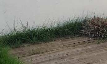 Imagem 5: Casa residencial para Venda em rua Pública no bairro sto Antônio dos prazeres, Feira de Sa