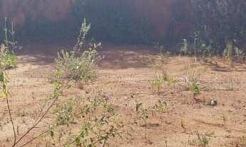 Imagem 2: Terreno residencial para Venda, Malícia ( abrantes ), Camaçari, 198,00 m² área total