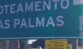 Imagem 5: Terreno residencial para Venda, Malícia ( abrantes ), Camaçari, 198,00 m² área total