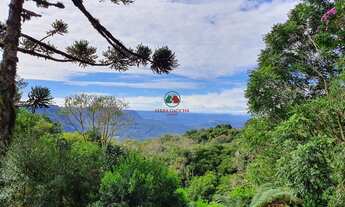 Imagem: Apartamento a venda alto padrão 3 suítes