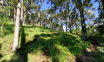 Imagem 1: Excelente Oportunidade de Terreno com 1.182m² a venda no condomínio Aspen Mountain em Gram