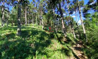 Imagem 6: Excelente Oportunidade de Terreno com 1.182m² a venda no condomínio Aspen Mountain em Gram