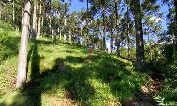 Imagem 3: Excelente Oportunidade de Terreno com 1.182m² a venda no condomínio Aspen Mountain em Gram