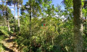 Imagem 5: Excelente Oportunidade de Terreno com 1.182m² a venda no condomínio Aspen Mountain em Gram