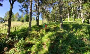 Imagem 7: Excelente Oportunidade de Terreno com 1.182m² a venda no condomínio Aspen Mountain em Gram