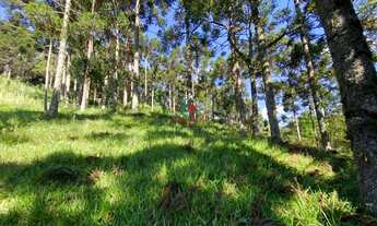 Imagem 4: Excelente Oportunidade de Terreno com 1.182m² a venda no condomínio Aspen Mountain em Gram