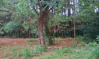 Imagem 6: TERRENO COMERCIAL em JUNDIAÍ - SP, CAXANBU