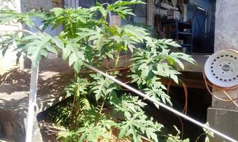 Imagem 4: AREA COMERCIAL em JUNDIAÍ - SP, VILA ARENS II