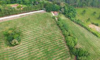 Imagem 7: SITIO COMERCIAL em JUNDIAÍ - SP, HORTO FLORESTAL