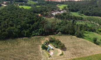 Imagem 4: SITIO COMERCIAL em JUNDIAÍ - SP, HORTO FLORESTAL