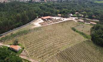 Imagem 2: SITIO COMERCIAL em JUNDIAÍ - SP, HORTO FLORESTAL