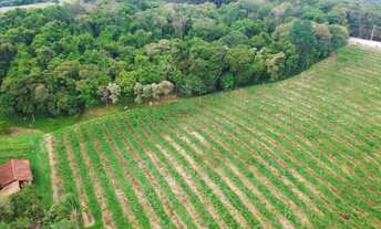 Imagem 5: SITIO COMERCIAL em JUNDIAÍ - SP, HORTO FLORESTAL