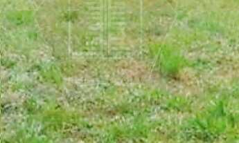 Imagem 3: TERRENO COMERCIAL em JUNDIAÍ - SP, VILA GUARANI