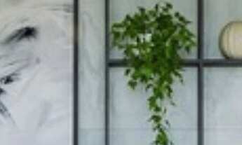 Imagem 3: STUDIO RESIDENCIAL em São Paulo - SP, Ipiranga