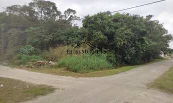 Imagem 3: 390M² de Área Total na Rua Luiz Gonzaga