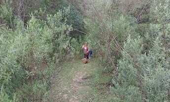 Imagem 6: 7555M² de Área Total na Estrada Geral