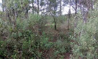 Imagem 7: 7555M² de Área Total na Estrada Geral