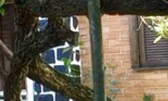 Imagem 5: CASA RESIDENCIAL em Curitiba - PR, Rebouças