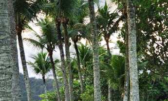 Imagem 4: Casa de Luxo na Praia da Baleia: 8 quartos, 8 suítes, 4 salas, 6 vagas de garagem e vista