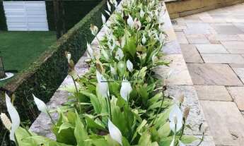 Imagem 6: Casa de Alto Padrão com Piscina na Praia da Juréia - 5 quartos, 5 suítes, 3 salas, 4 vagas