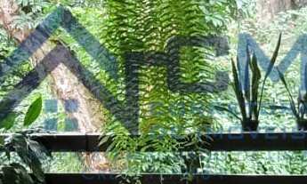 Imagem 7: SÍTIO A VENDA EM JACAREÍ