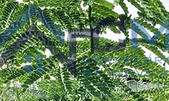 Imagem: TERRENO A VENDA NO VILLA BRANCA