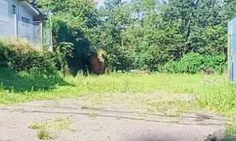 Imagem 3: Terreno para a venda em santa cruz do sul, terreno em santa cruz do sul