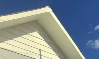 Imagem: Geminado no arroio grande, Santa Cruz do