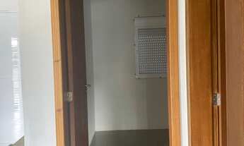 Imagem 7: Geminado no arroio grande, Santa Cruz do Sul