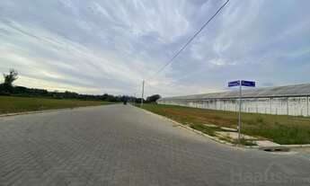 Imagem 7: Terreno a venda com ótimos preços, em Vera Cruz