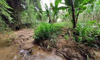 Imagem 3: CHACARA RURAL em IPATINGA - MG, IPANEMÃO
