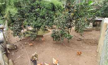 Imagem 5: CHACARA RURAL em IPATINGA - MG, IPANEMÃO